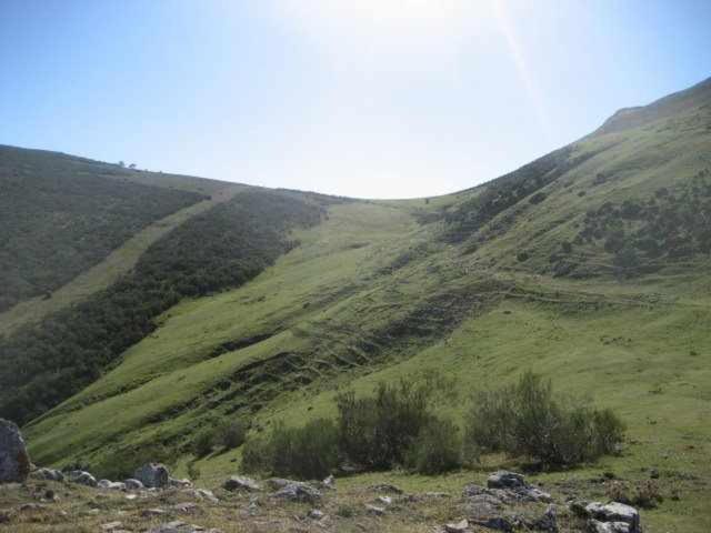 Valdecarzana Senda Del Oso * San Martin (Asturias)