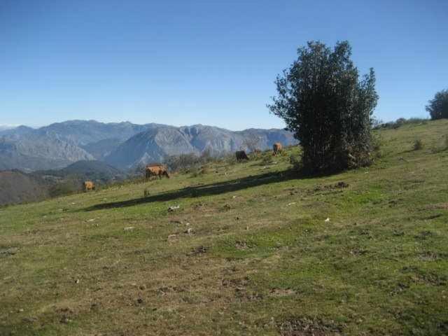 Appartement Valdecarzana Senda Del Oso *