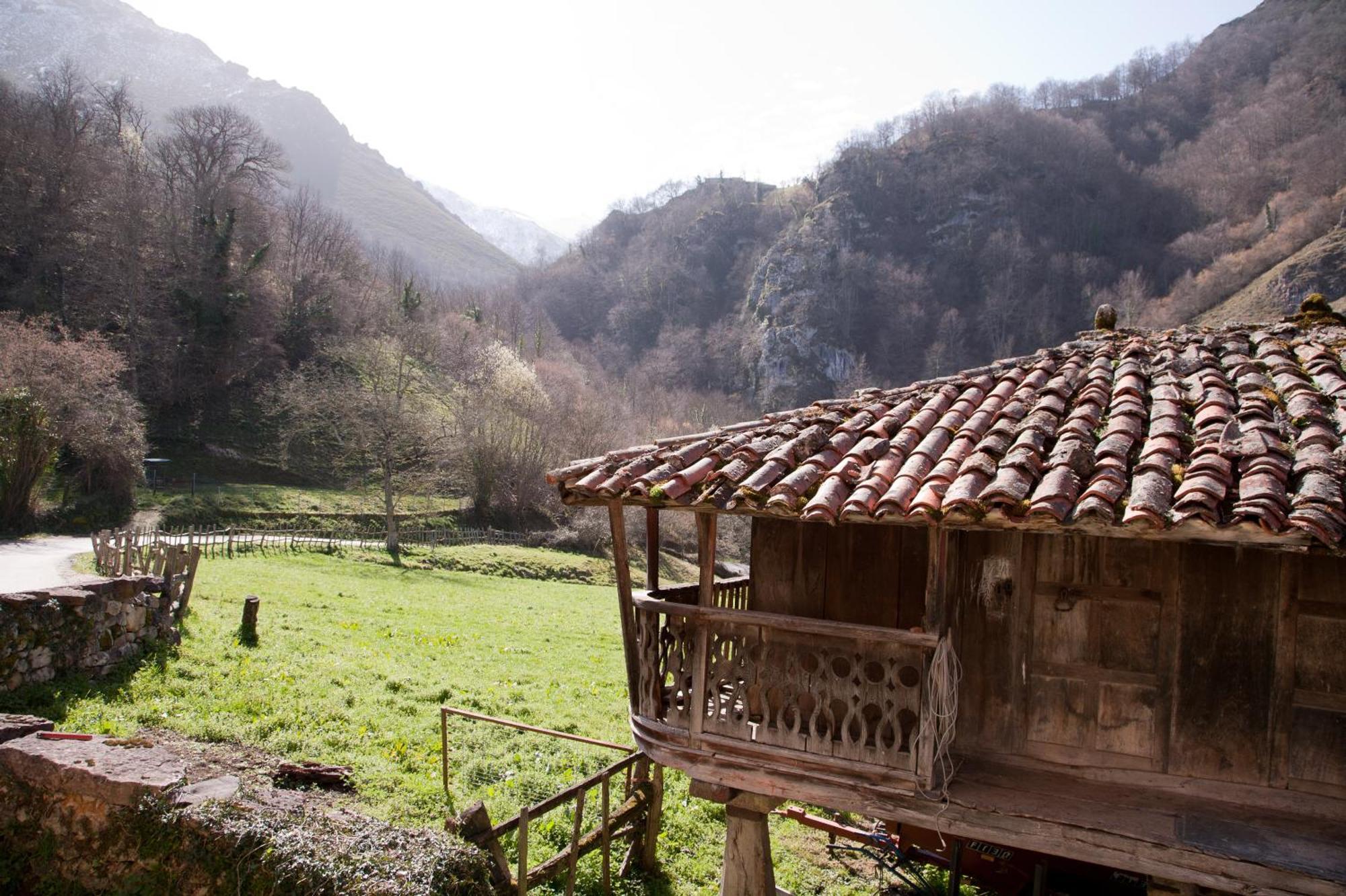 Appartement Valdecarzana Senda Del Oso San Martin (Asturias)